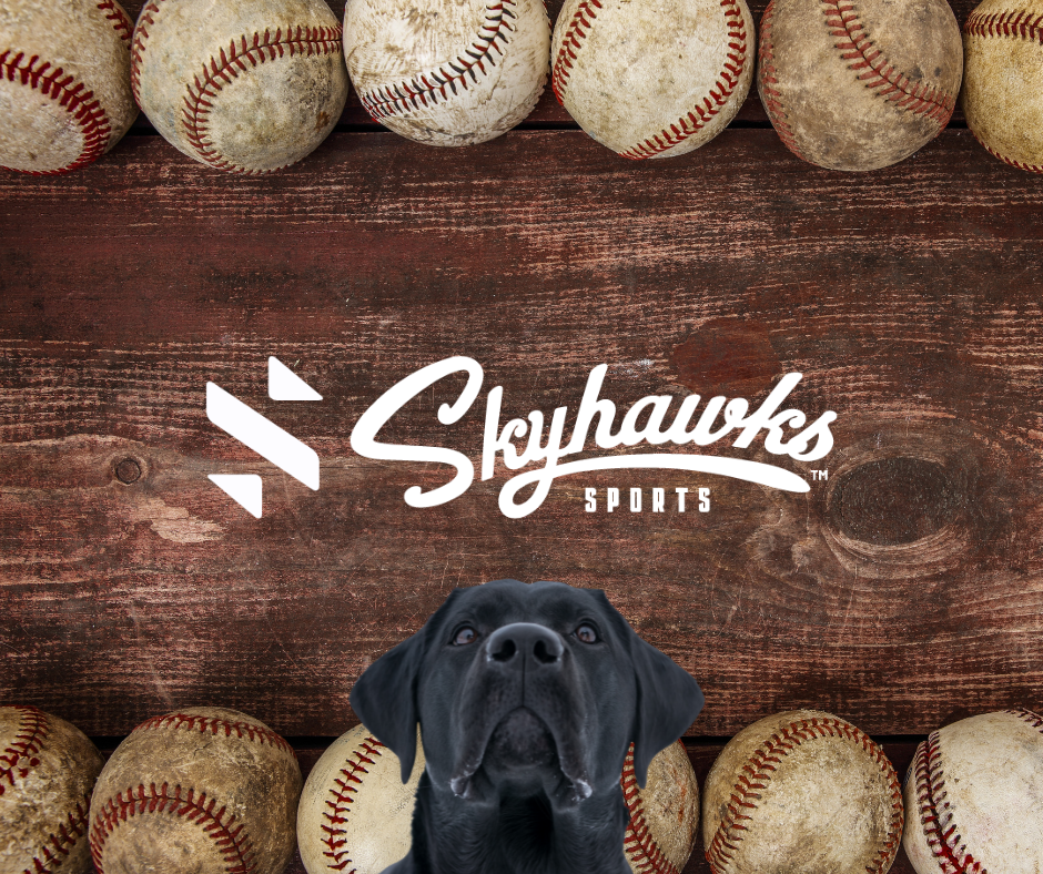 Baseball Icon