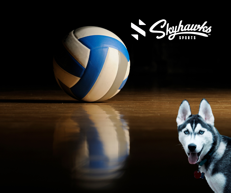 Volleyball Icon